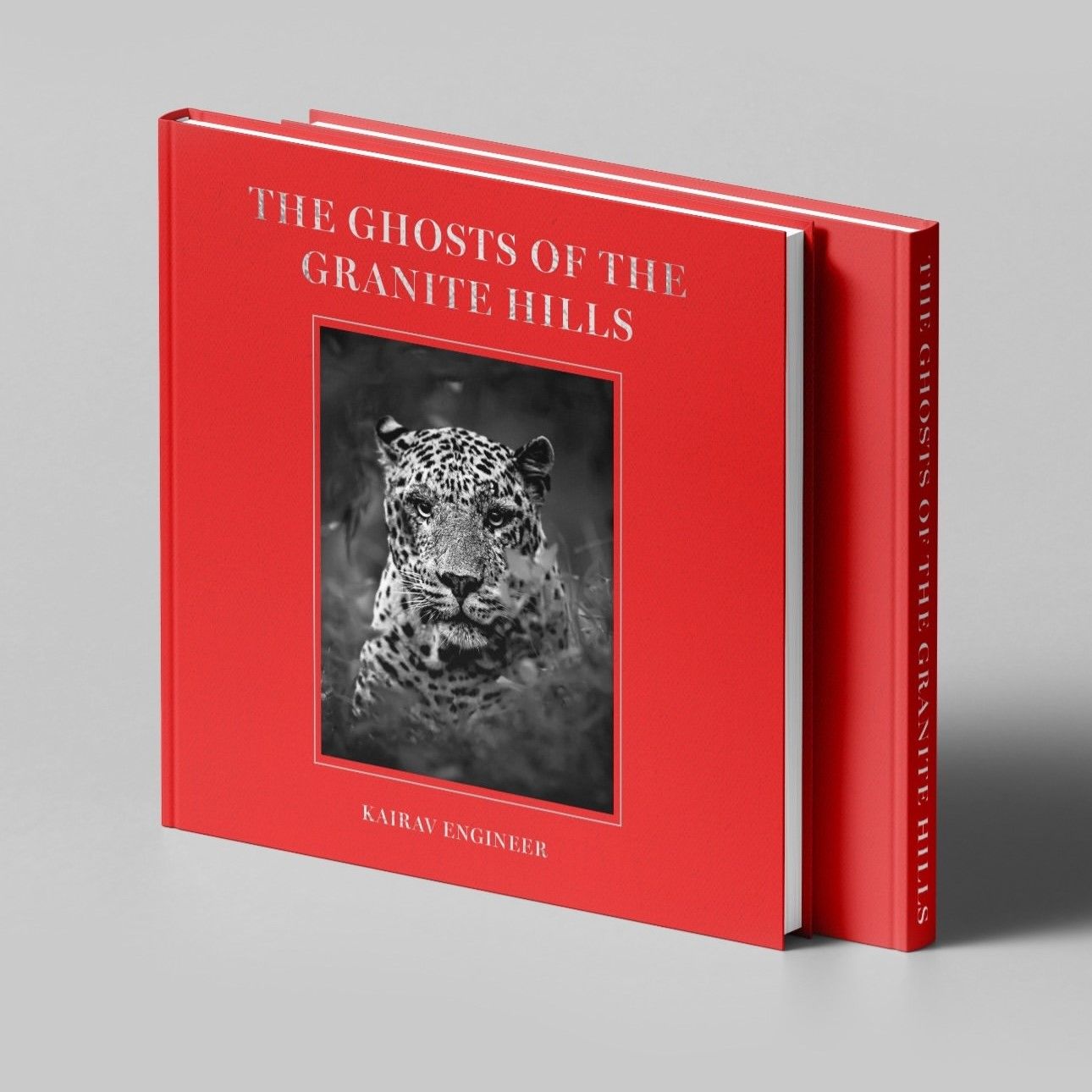 The Ghosts of the Granite Hills