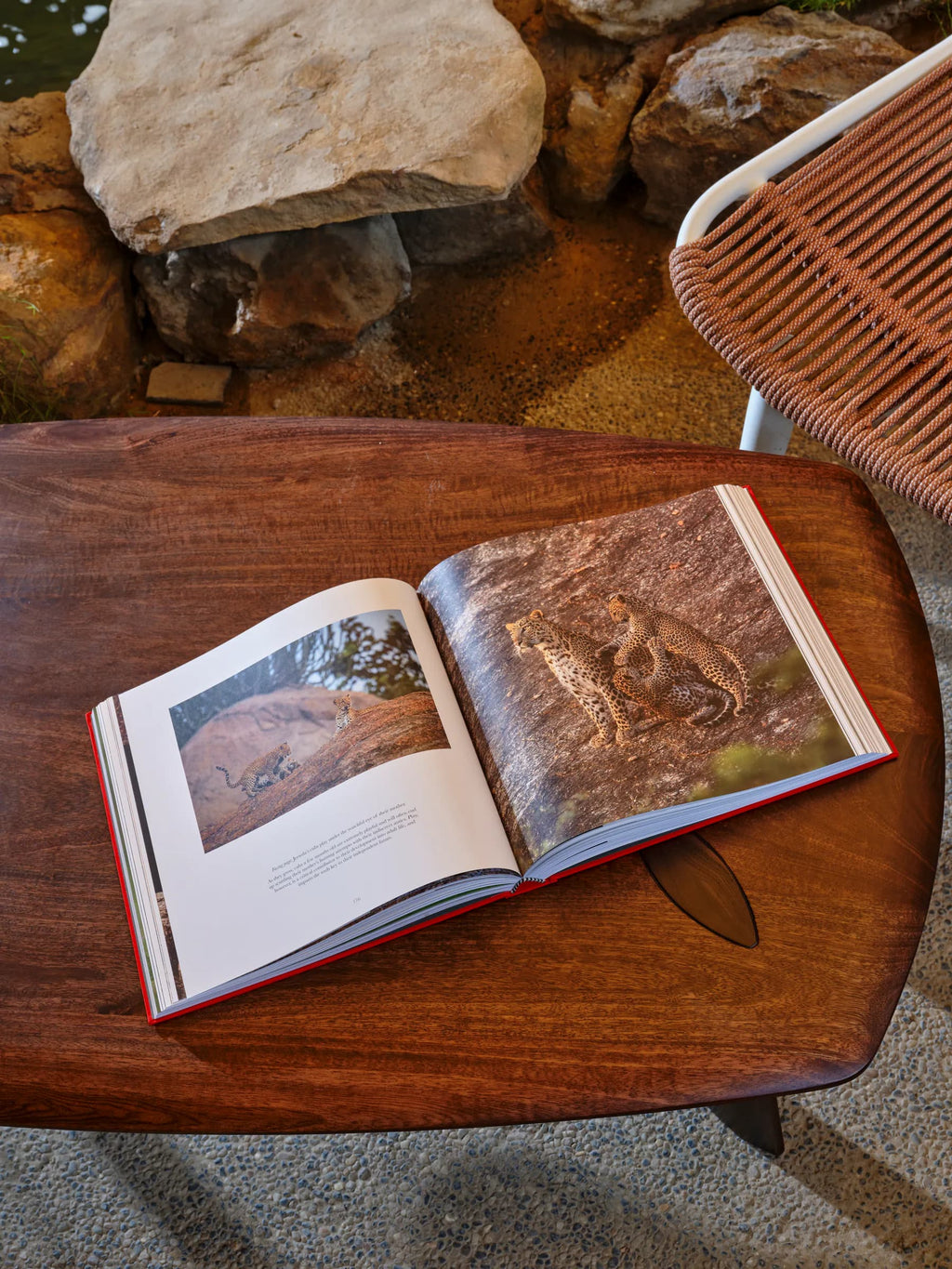 The Ghosts of the Granite Hills: A Portfolio of the Greater Jawai Ecosystem